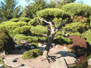 Language & Volunteer Camp:Day 5 Photo