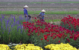 Beijing Language Immersion and Culture Camp