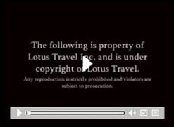 Cherished Escapades:Lotus Travel's Heritage Tours