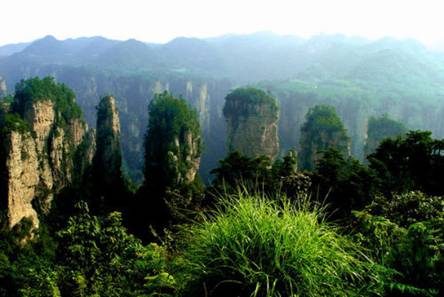 Zhangjiajie Forest